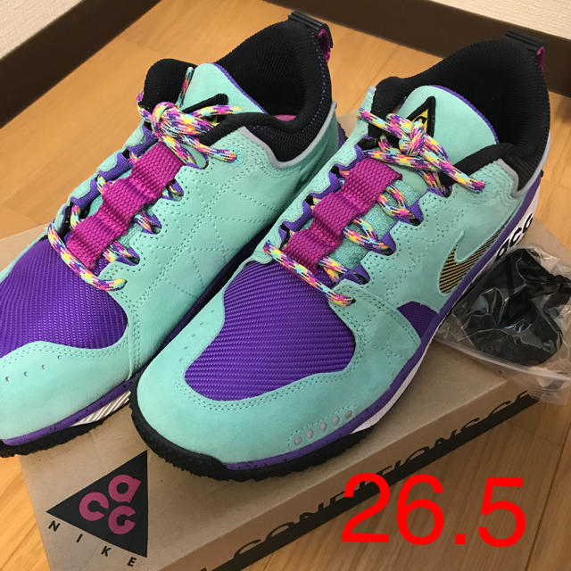 スニーカーNIKE ACG ドッグマウンテン 26.5