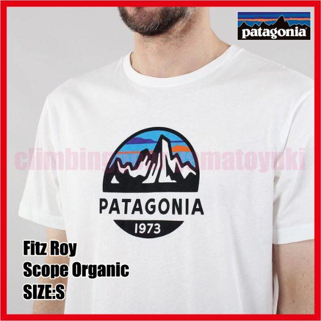 patagonia(パタゴニア)のパタゴニア patagonia S/S フィッツロイスコープT メンズのトップス(Tシャツ/カットソー(半袖/袖なし))の商品写真