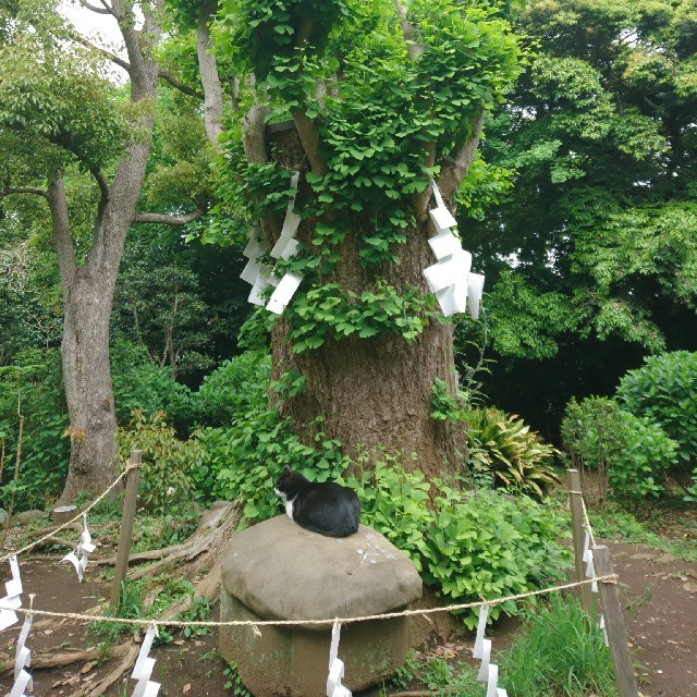 専用です❗購入しないで下さい❗