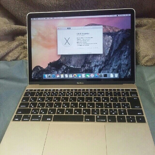 Macbook Retina Early 2015 8G/512G