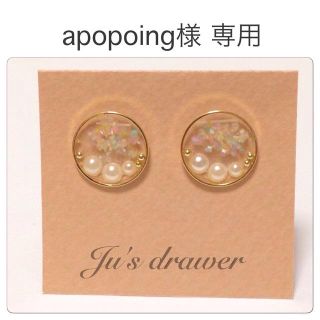 apopoing様 専用ページ(ピアス)