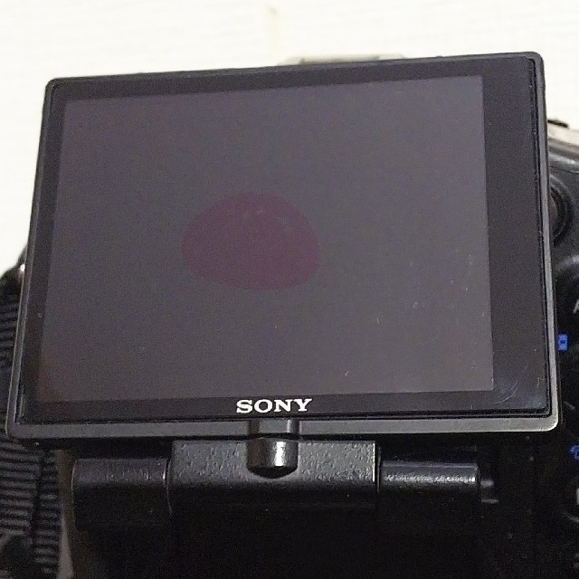 限定大幅値下げ SONY α99 SLT-A99V 限定大幅値下げ SONY α99 SLT-A99V