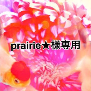 エイチアンドエム(H&M)のprairie様専用(ロンパース)