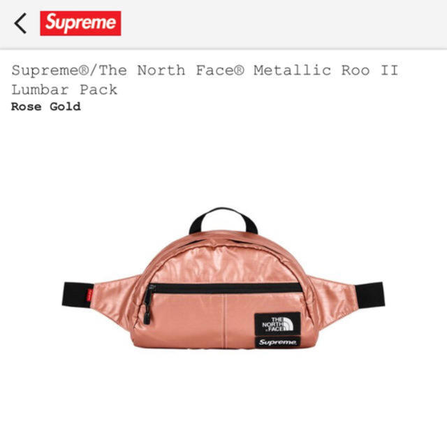 Supreme ✖️NORTH FACE  Lumbar Pack