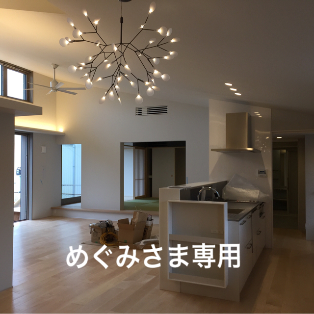 moooi(モーイ）ヘラクレウム2s 照明 インテリア/住まい/日用品のライト/照明/LED(天井照明)の商品写真