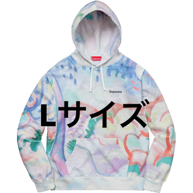 supreme Landscape Hooded Sweatshirt