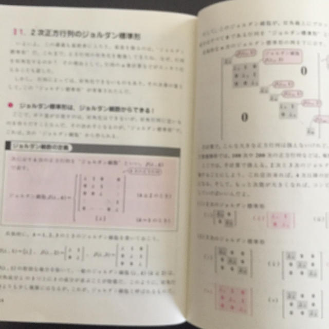 スバラシク実力がつくと評判の演習微分積分キャンパス・ゼミ - 健康