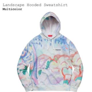 シュプリーム(Supreme)のS supreme Landscape Hooded Sweatshirt (パーカー)