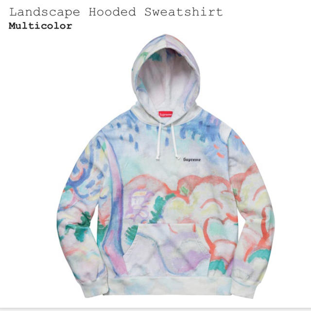 Supreme(シュプリーム)のsupreme Landscape Hooded Sweatshirt M メンズのトップス(パーカー)の商品写真