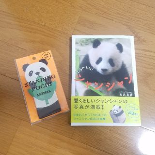 タカラジマシャ(宝島社)の予約済み★シャンシャン☆パンダグッズ(その他)