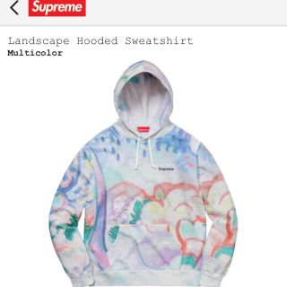 シュプリーム(Supreme)のSupreme 18SS Landscape Hooded Sweatshirt(パーカー)