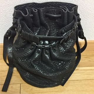 アレキサンダーワン(Alexander Wang)のアレキサンダーワンショルダーディエゴAlexander wang Diego (ショルダーバッグ)