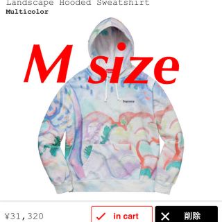 シュプリーム(Supreme)のsupreme Landscape Hooded Sweatshirt M(パーカー)