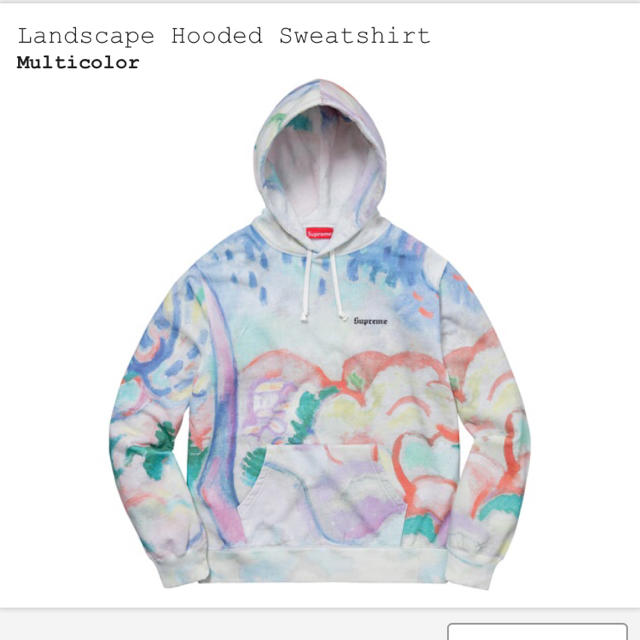 トップスSupreme landscape hooded sweatshirt M