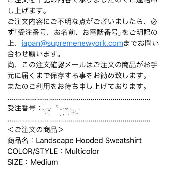 トップスSupreme landscape hooded sweatshirt M