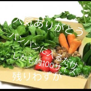 大人気ありがとう、無農薬、夏野菜詰め合わせパンパン(野菜)