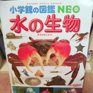 ショウガクカン(小学館)の小学館の図鑑NEO 水の生き物(ノンフィクション/教養)