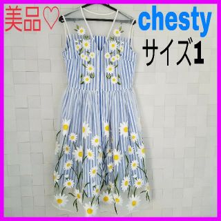 チェスティ(Chesty)の美品♡チェスティ 1 ボーダー フラワー 前あき オーガンジー ワンピース(ひざ丈ワンピース)