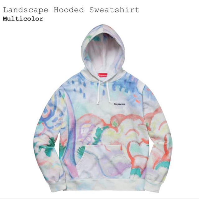 ★人気★ Supreme Landscape Hooded Sweatshirt