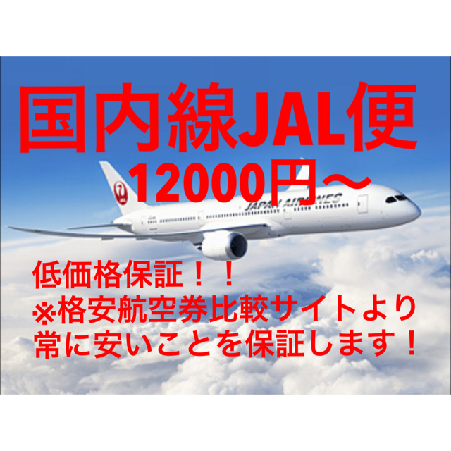 JAL国内線航空券がいつでも12000円〜20000円！価格保証付き！ チケットの乗車券/交通券(航空券)の商品写真