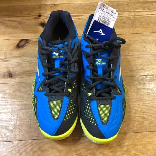 ミズノ(MIZUNO)の新品テニスシューズ 26.0cm ミズノ ウエーブインテンス ツアー4 AC箱有(シューズ)