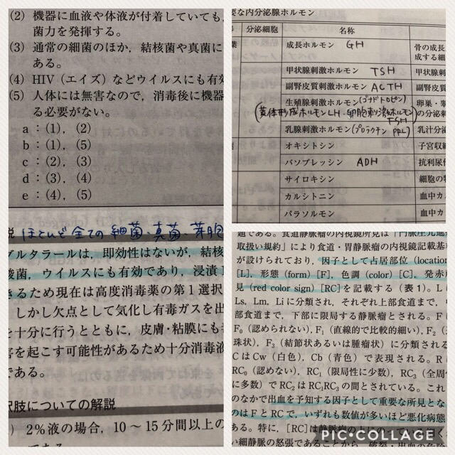 内視鏡技師試験　問題集　胃カメラ　大腸カメラ