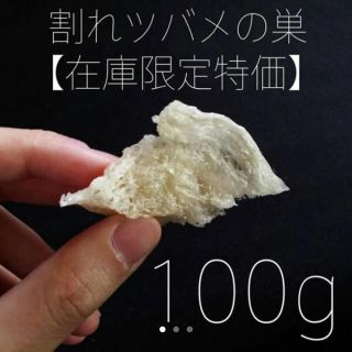 ツバメの巣 燕盞 三角燕 燕の巣 アウトレット 100g(コラーゲン)