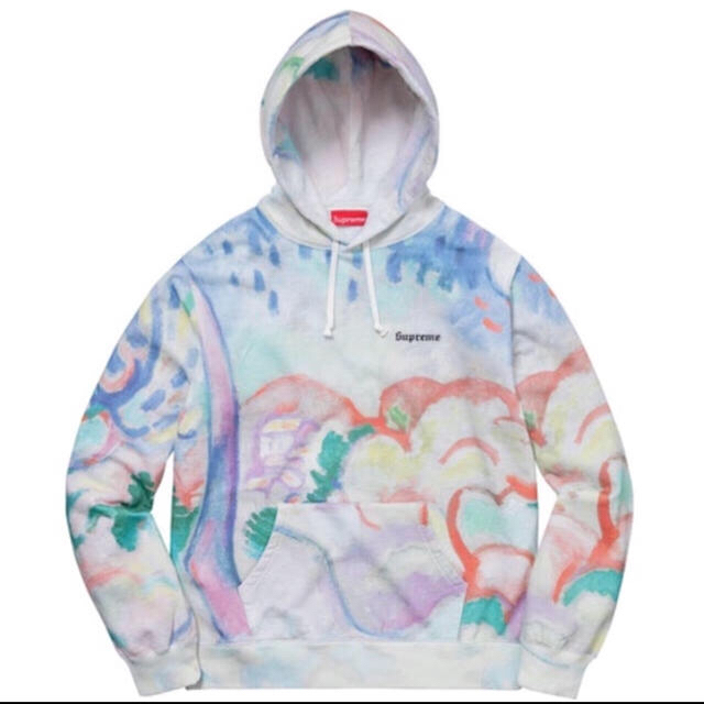 supreme landscape hooded sweat shirts