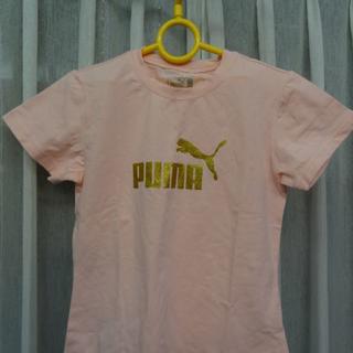 プーマ(PUMA)の☆タグ付☆プーマＴシャツ　サイズМ　レディース(Tシャツ(半袖/袖なし))