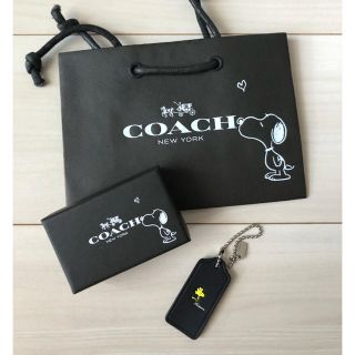 コーチ(COACH) スヌーピー チャームの通販 12点 | コーチのレディース 