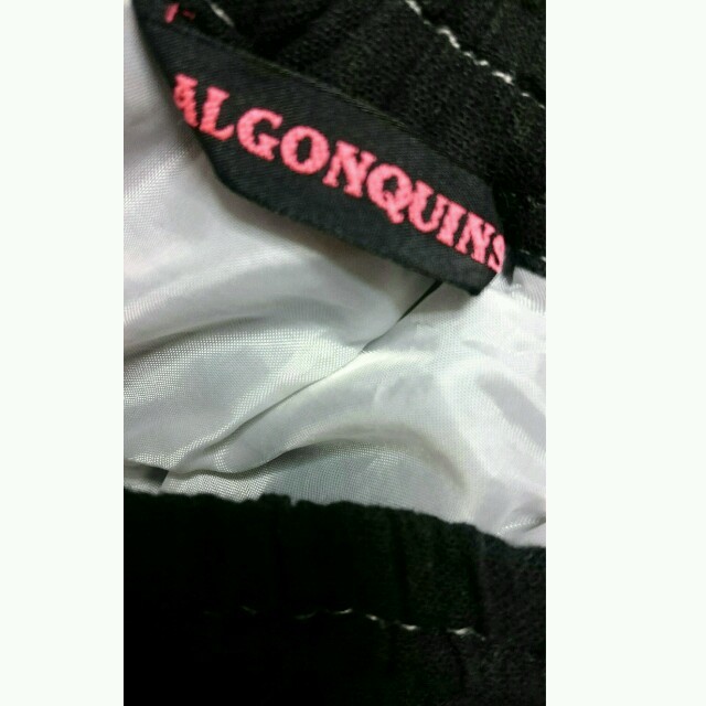 ALGONQUINS(アルゴンキン)のAlgonquin スカート レディースのスカート(ミニスカート)の商品写真