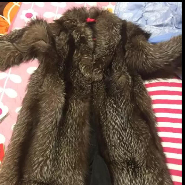 シルバーフォックス   ロング レディースのジャケット/アウター(毛皮/ファーコート)の商品写真