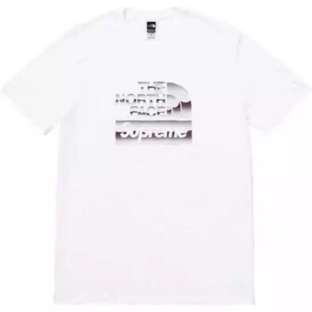 Lサイズ supreme north face tee www.krzysztofbialy.com