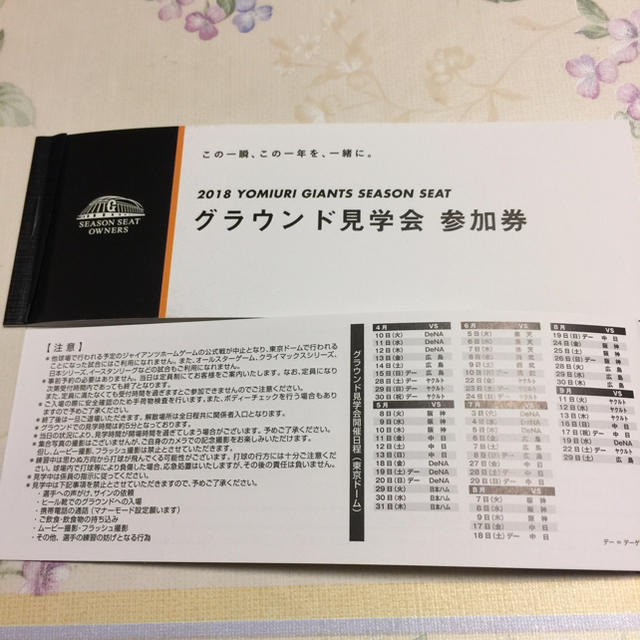 読売ジャイアンツ(ヨミウリジャイアンツ)の読売ジャイアンツ　グランド見学会参加券ペア チケットのスポーツ(野球)の商品写真