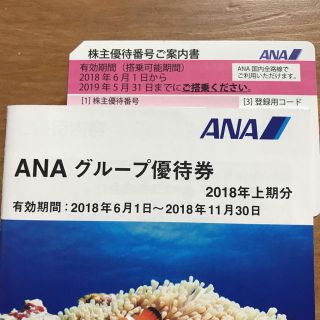 エーエヌエー(ゼンニッポンクウユ)(ANA(全日本空輸))のANA株主優待券 1枚(航空券)