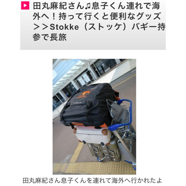 Stokke(ストッケ)の【新品未使用】ストッケ プラムパック｜ベビーカー収納バッグ｜ストッケ正規販売店 キッズ/ベビー/マタニティの外出/移動用品(ベビーカー/バギー)の商品写真