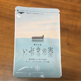 今だけ価格 いぶきの実 1袋(その他)