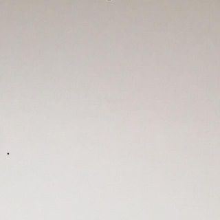 専用(その他)