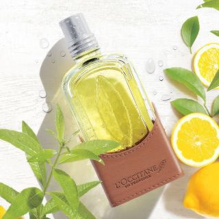 ロクシタン(L'OCCITANE)のロクシタン ヴァーベナシトラス 限定品(香水(女性用))