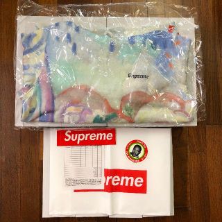 シュプリーム(Supreme)のSupreme Landscape Hooded Sweatshirt S(パーカー)