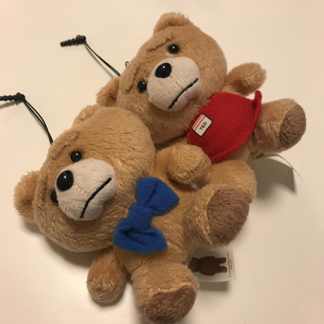 テッド  ted  ぬいぐるみ エンタメ/ホビーのおもちゃ/ぬいぐるみ(キャラクターグッズ)の商品写真