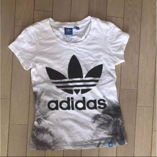 アディダス(adidas)のアディダス Tシャツ(Tシャツ(半袖/袖なし))