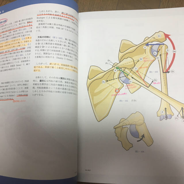 カパンジー 機能解剖学 3冊セット