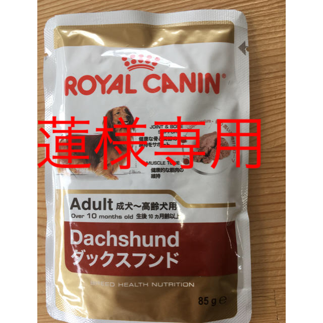 ROYAL CANIN(ロイヤルカナン)のダックス専用 ウェットフード 10個 その他のペット用品(ペットフード)の商品写真