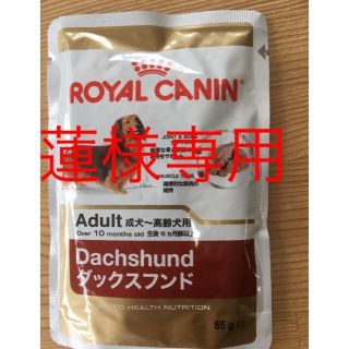 ロイヤルカナン(ROYAL CANIN)のダックス専用 ウェットフード 10個(ペットフード)