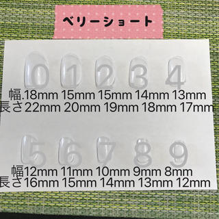 ボタニカル 夏 ネイル チップ コスメ/美容のネイル(つけ爪/ネイルチップ)の商品写真