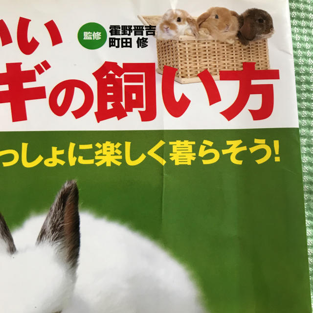 かわいいウサギの飼い方 その他のペット用品(小動物)の商品写真