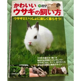 かわいいウサギの飼い方(小動物)