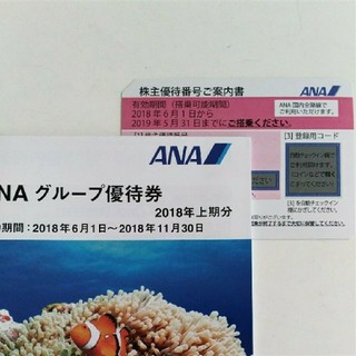 エーエヌエー(ゼンニッポンクウユ)(ANA(全日本空輸))のma259様　ANA 株主優待券　国内線(その他)