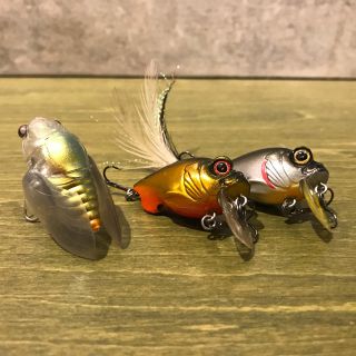 メガバス(Megabass)のボス様専用 Megabass メガバス グリフォンゼロ×2 シグレ 3点セット(ルアー用品)